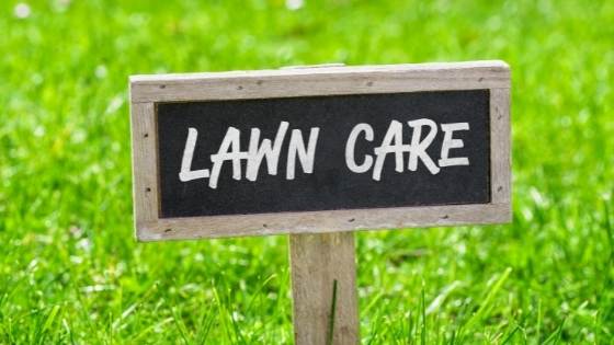 If your lawn is looking a little worse for wear, overseeding can work wonders for promoting thick, healthy grass. Here are the steps you should take.